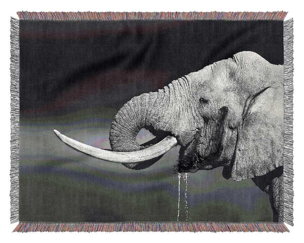 Elephant Drink Woven Blanket