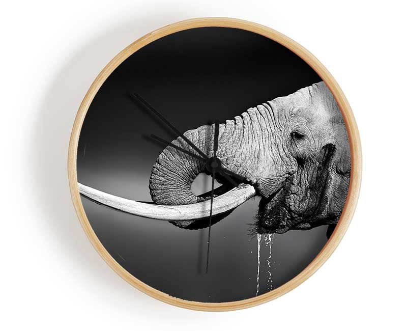 Elephant Drink Clock - Wallart-Direct UK