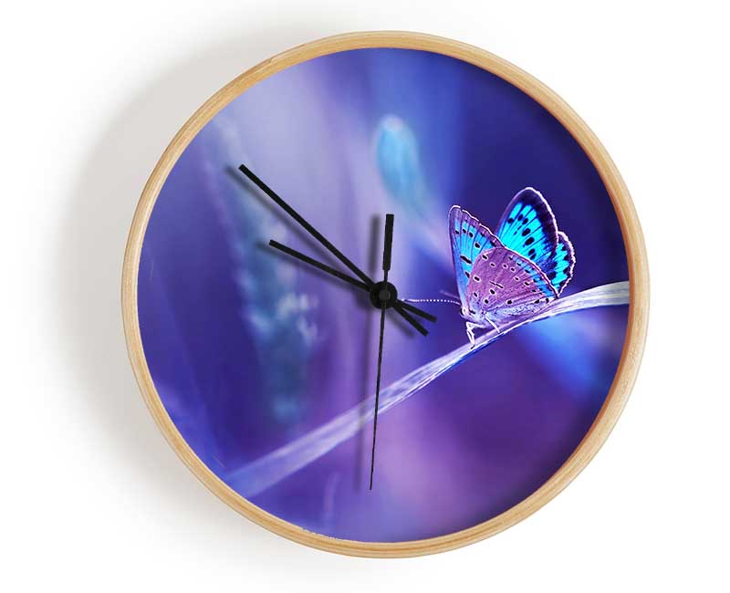 Purple Butterfly Wonder Clock - Wallart-Direct UK