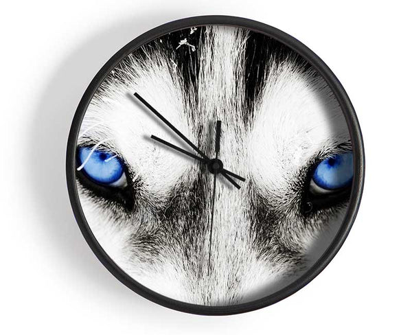 Husky Dog Blues Clock - Wallart-Direct UK