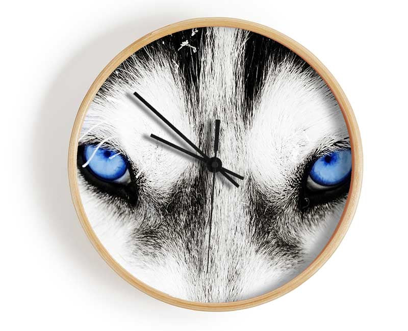 Husky Dog Blues Clock - Wallart-Direct UK