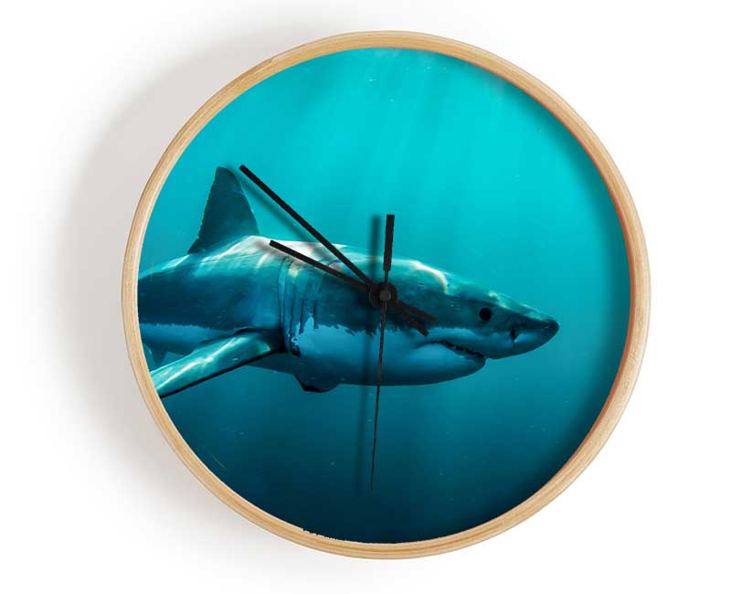 Shark Sunbeam Clock - Wallart-Direct UK