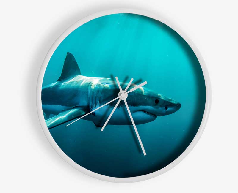 Shark Sunbeam Clock - Wallart-Direct UK