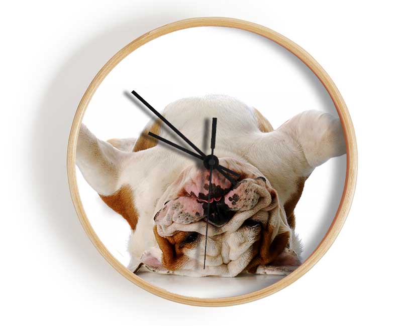 English Bulldog Snooze Clock - Wallart-Direct UK