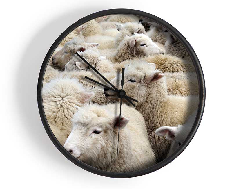 Sheep Heard Clock - Wallart-Direct UK