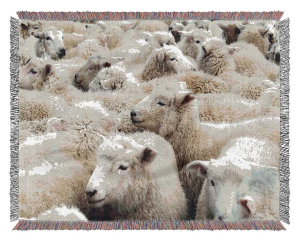 Sheep Heard Woven Blanket