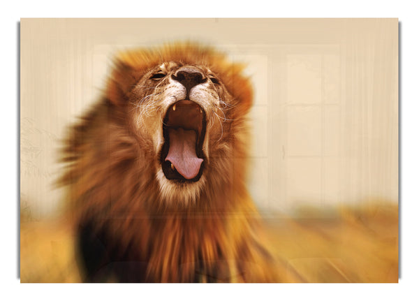 King of The Jungle Lion Roar