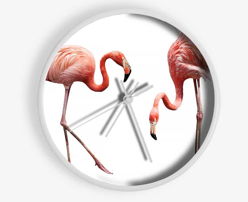 Pink Flamingo Duo Clock - Wallart-Direct UK