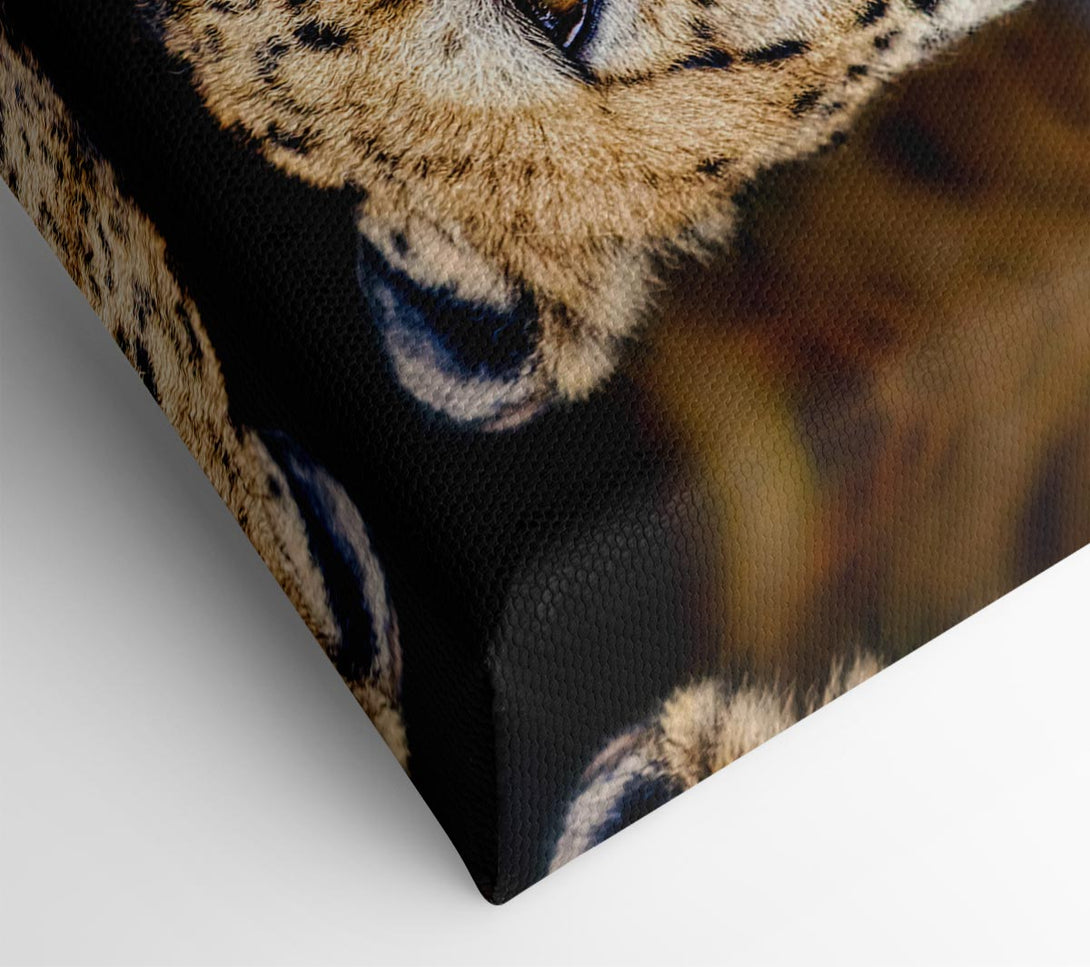 Picture of Beautiful Cheetah Face Canvas Print Wall Art