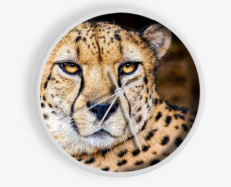 Beautiful Cheetah Face Clock - Wallart-Direct UK