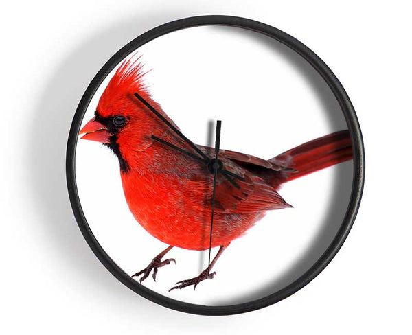 Scarlet Tanager Bird Clock - Wallart-Direct UK