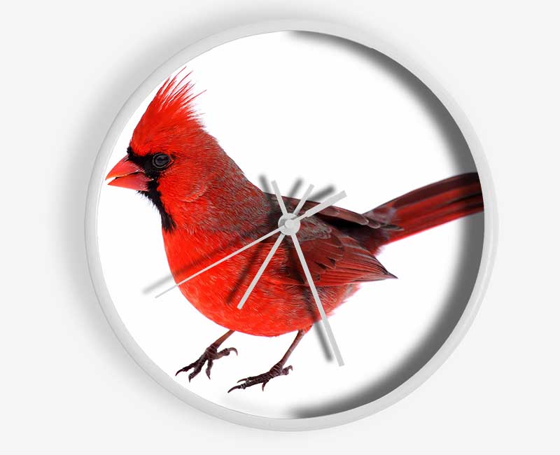 Scarlet Tanager Bird Clock - Wallart-Direct UK