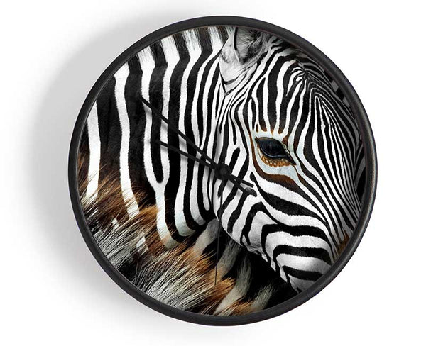 Zebra Huddle Clock - Wallart-Direct UK