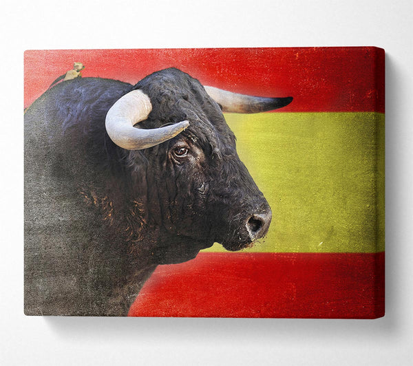 Picture of Spanish Bull Canvas Print Wall Art