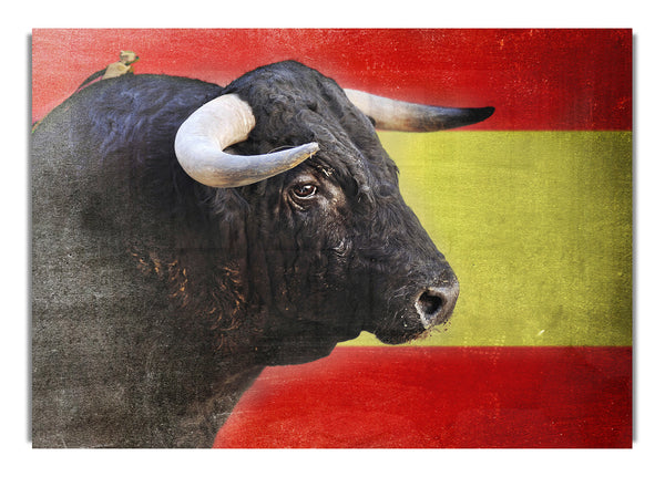 Spanish Bull