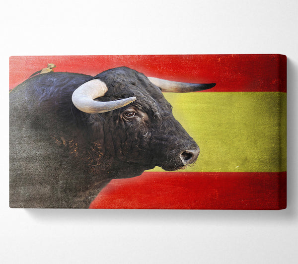 Spanish Bull