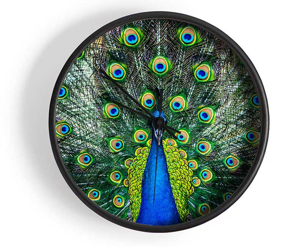 Peacock Plume Clock - Wallart-Direct UK