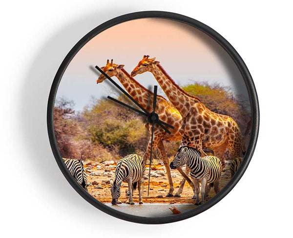 Safari Watering hole Clock - Wallart-Direct UK