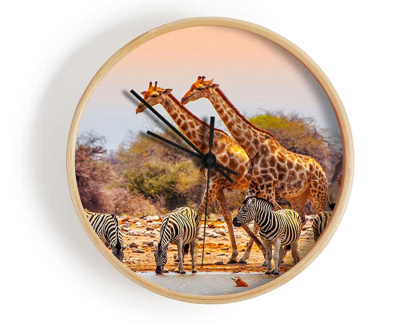 Safari Watering hole Clock - Wallart-Direct UK