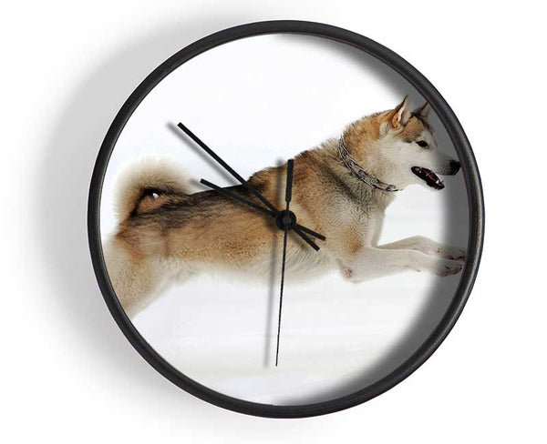 Husky Dog Snow Play Clock - Wallart-Direct UK