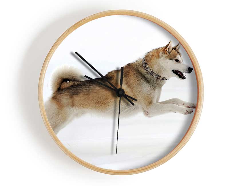 Husky Dog Snow Play Clock - Wallart-Direct UK