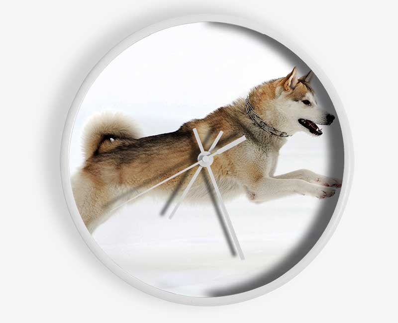 Husky Dog Snow Play Clock - Wallart-Direct UK