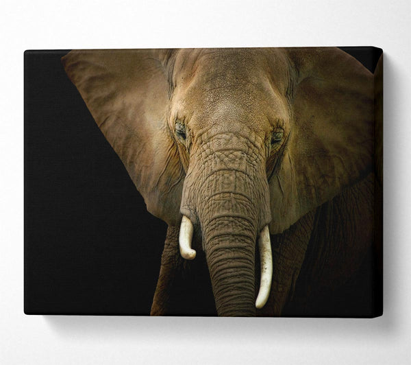 Picture of Stunning Elephant Face Canvas Print Wall Art