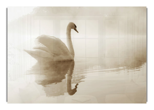 Lonesome Swan