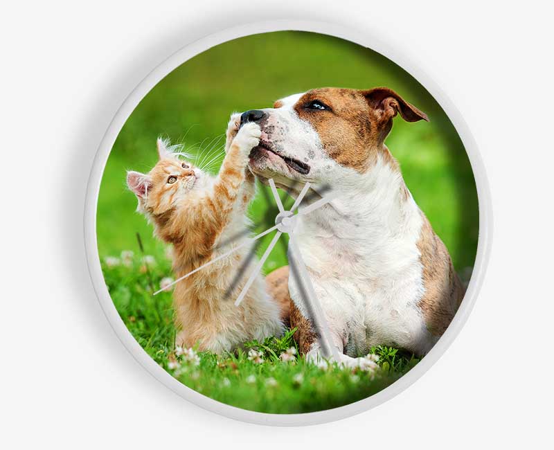 Cat No Dog Talk Clock - Wallart-Direct UK