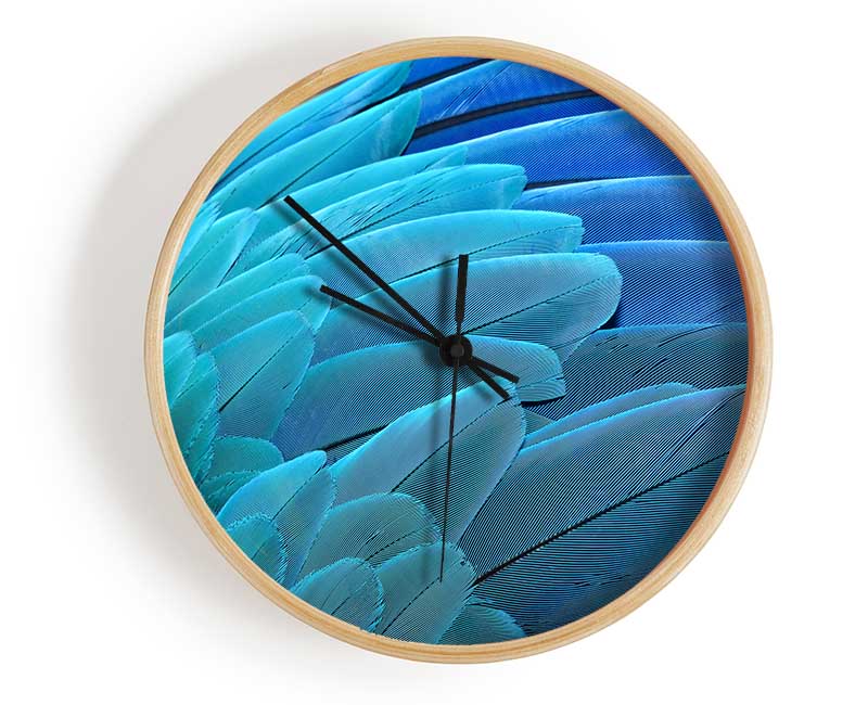 Parrot Feathers Clock - Wallart-Direct UK