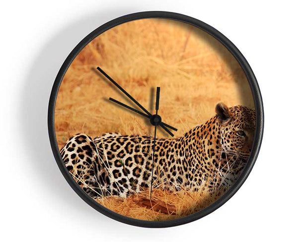 Leopard Waiting Clock - Wallart-Direct UK