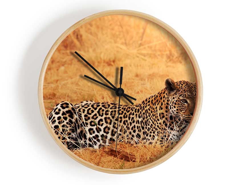 Leopard Waiting Clock - Wallart-Direct UK