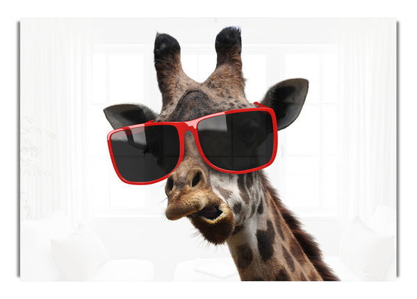 Giraffe mit flippigem Gesicht