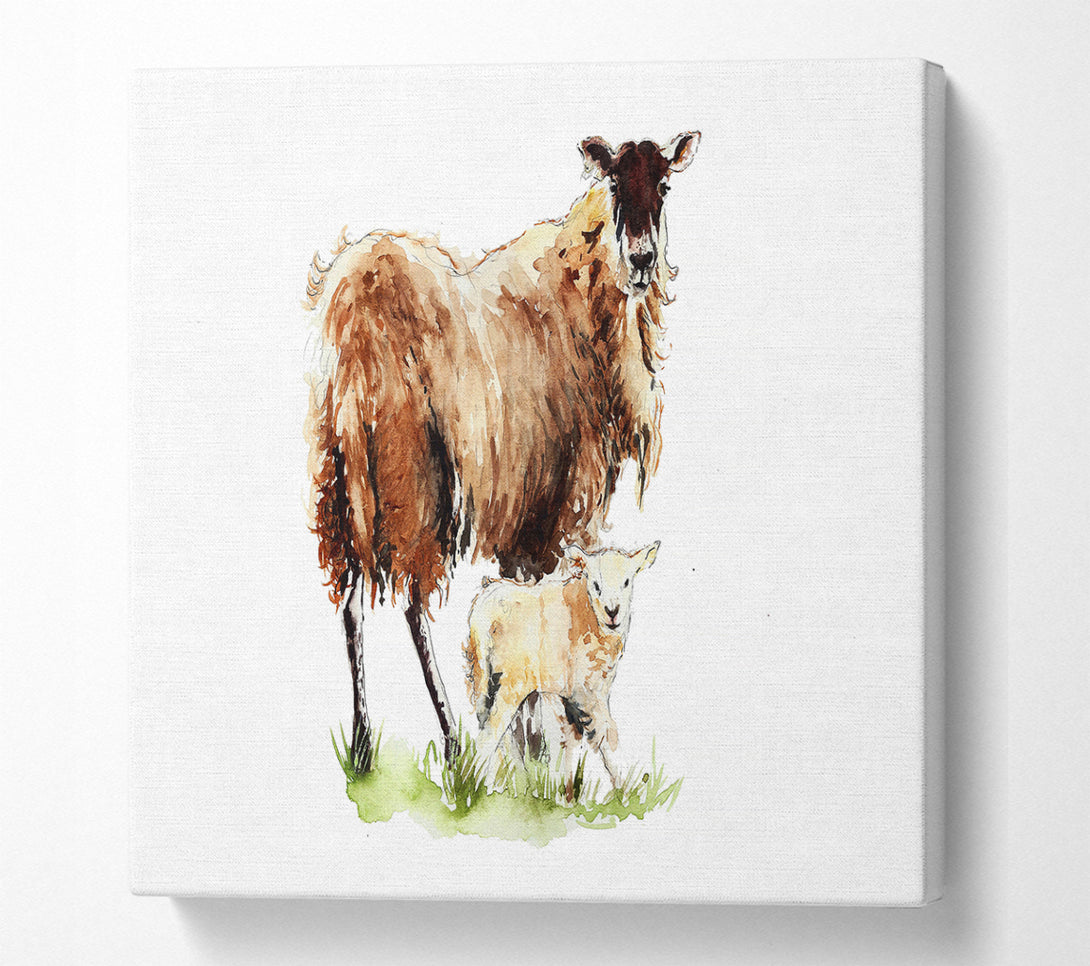 A Square Canvas Print Showing Mother and Baby Lambs Square Wall Art