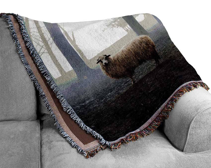 Sheep Forest Woven Blanket