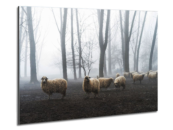 Sheep Forest