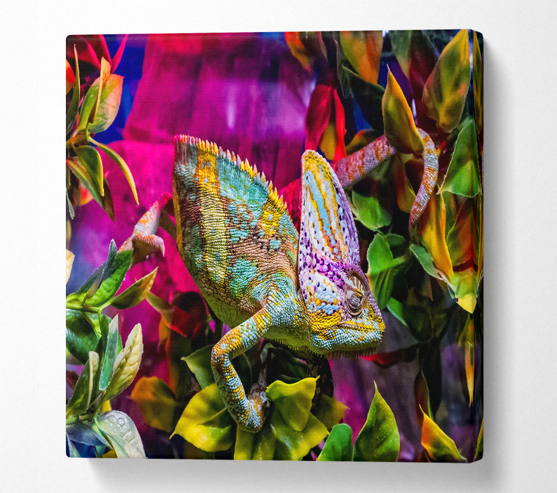 A Square Canvas Print Showing Chameleon In The Pink Square Wall Art