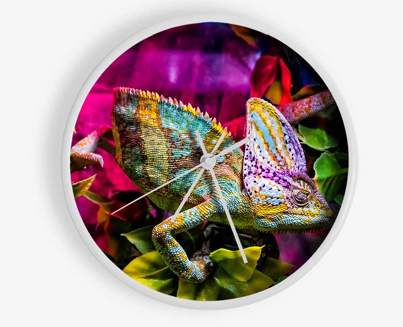 Chameleon In The Pink Clock - Wallart-Direct UK