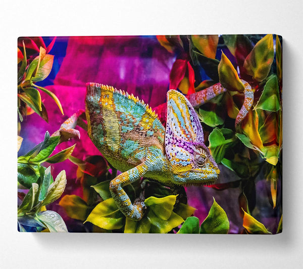 Picture of Chameleon In The Pink Canvas Print Wall Art