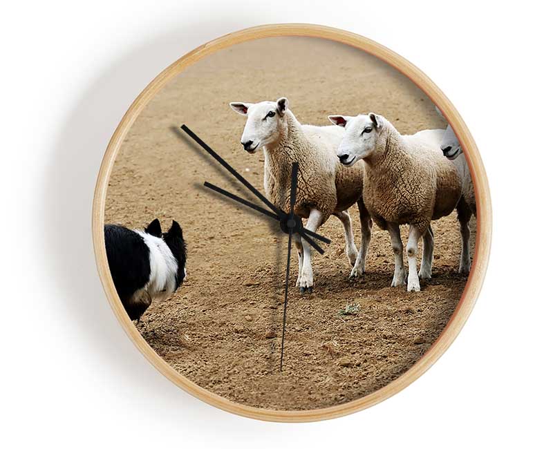 Sheepdog Roundup Clock - Wallart-Direct UK