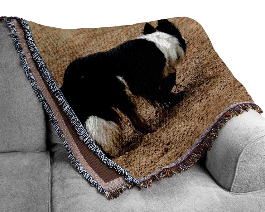 Sheepdog Roundup Woven Blanket