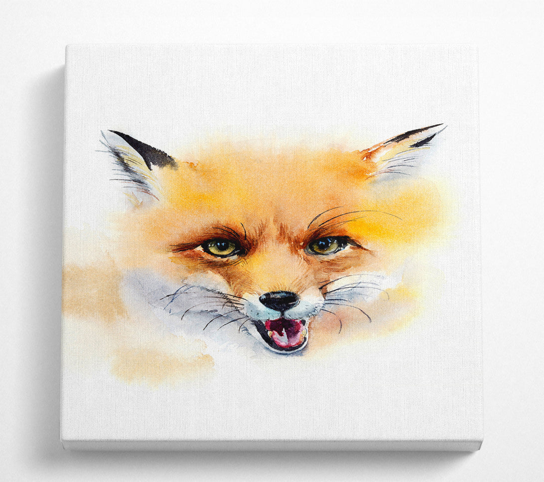 A Square Canvas Print Showing Cheeky Fox Square Wall Art