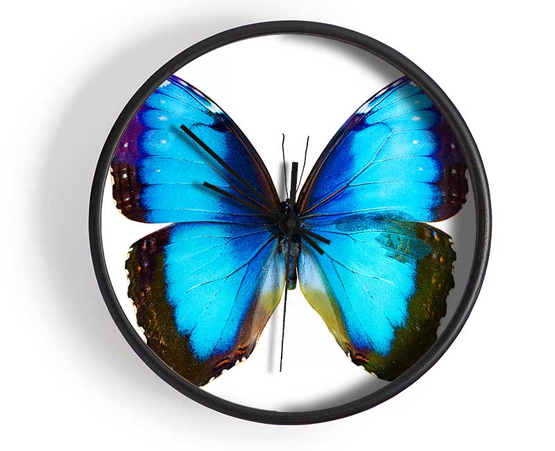 Electric Butterfly Clock - Wallart-Direct UK