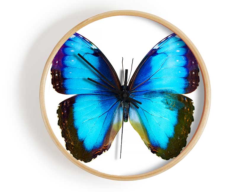 Electric Butterfly Clock - Wallart-Direct UK