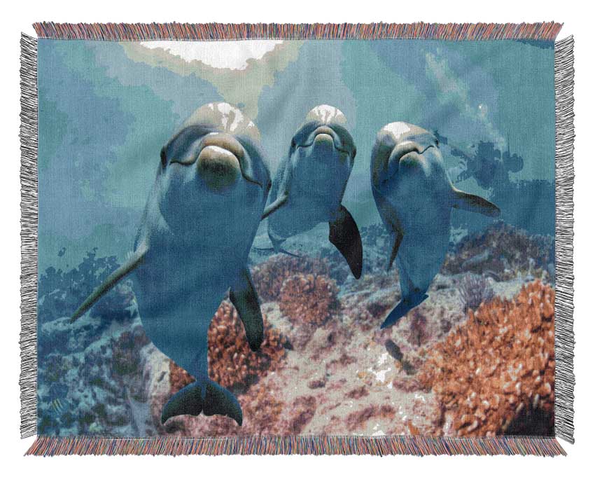 Inquisitive Dolphin Trio Woven Blanket