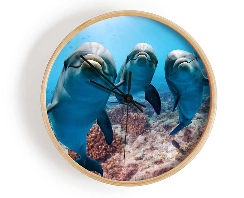 Inquisitive Dolphin Trio Clock - Wallart-Direct UK