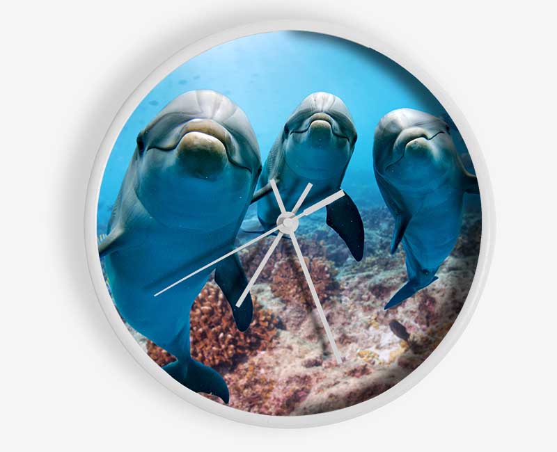 Inquisitive Dolphin Trio Clock - Wallart-Direct UK