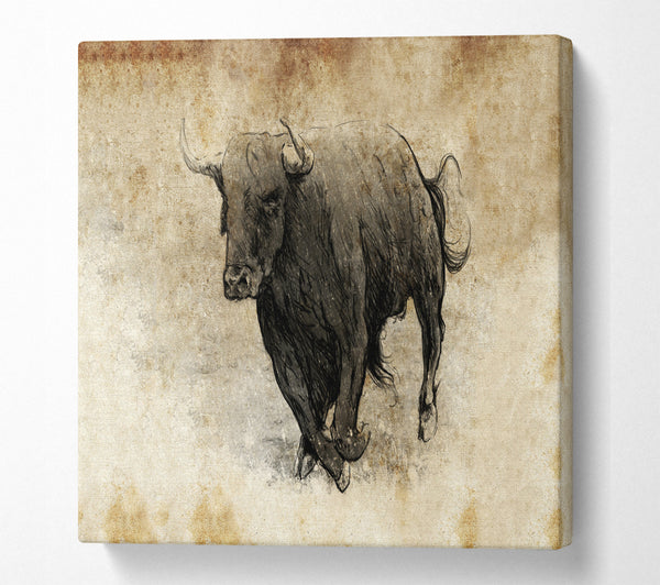 A Square Canvas Print Showing Bull Charging Square Wall Art