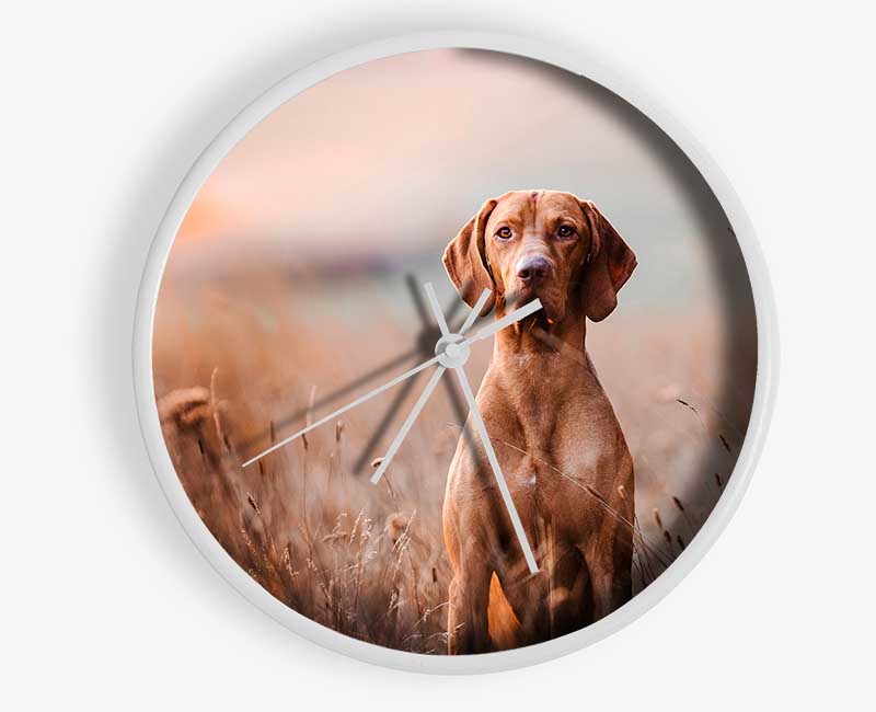 Dog Obedience Clock - Wallart-Direct UK