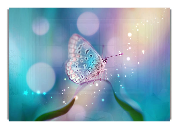 Butterfly Sparkle